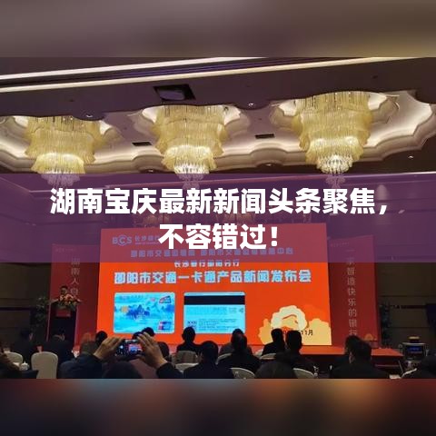 湖南寶慶最新新聞頭條聚焦，不容錯過！