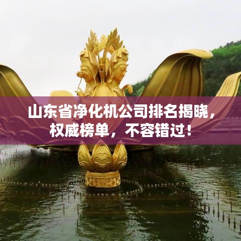 山東省凈化機(jī)公司排名揭曉，權(quán)威榜單，不容錯(cuò)過(guò)！