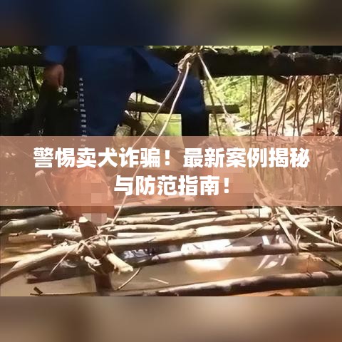 十年磨劍 第2頁
