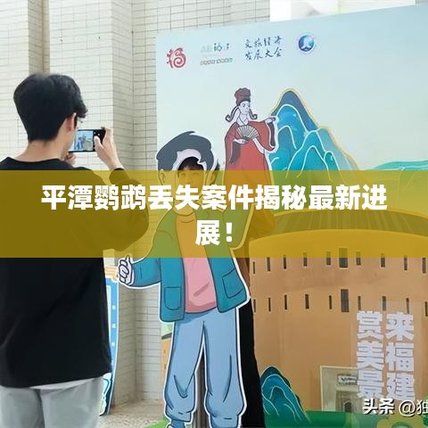 平潭鸚鵡丟失案件揭秘最新進展！