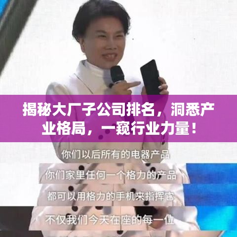 揭秘大廠子公司排名，洞悉產業(yè)格局，一窺行業(yè)力量！