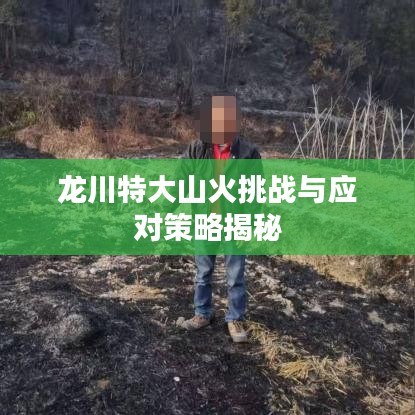 龍川特大山火挑戰(zhàn)與應(yīng)對(duì)策略揭秘