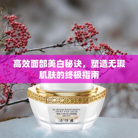 高效面部美白秘訣，塑造無瑕肌膚的終極指南
