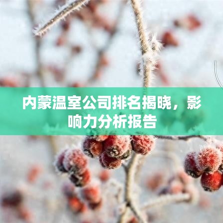 內(nèi)蒙溫室公司排名揭曉，影響力分析報(bào)告