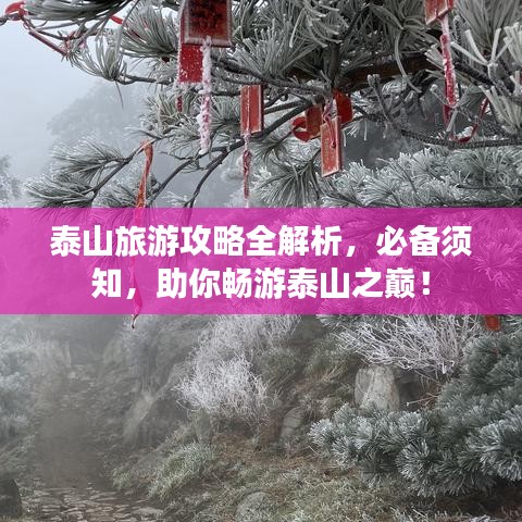 泰山旅游攻略全解析，必備須知，助你暢游泰山之巔！