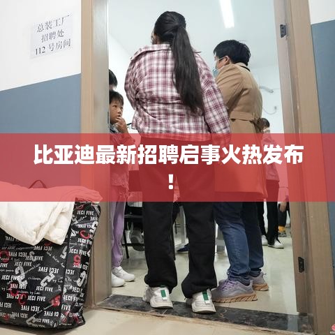 比亞迪最新招聘啟事火熱發(fā)布！