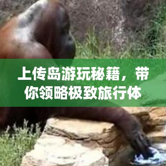 上傳島游玩秘籍，帶你領(lǐng)略極致旅行體驗(yàn)！