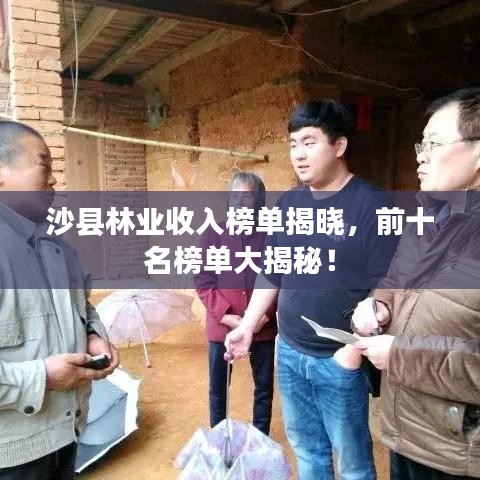 沙縣林業(yè)收入榜單揭曉，前十名榜單大揭秘！