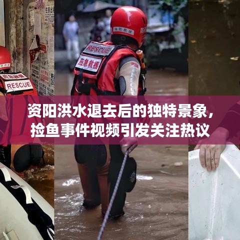 資陽(yáng)洪水退去后的獨(dú)特景象，撿魚(yú)事件視頻引發(fā)關(guān)注熱議