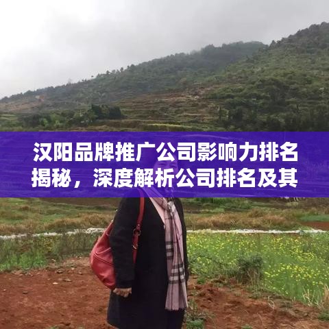 漢陽(yáng)品牌推廣公司影響力排名揭秘，深度解析公司排名及其影響力